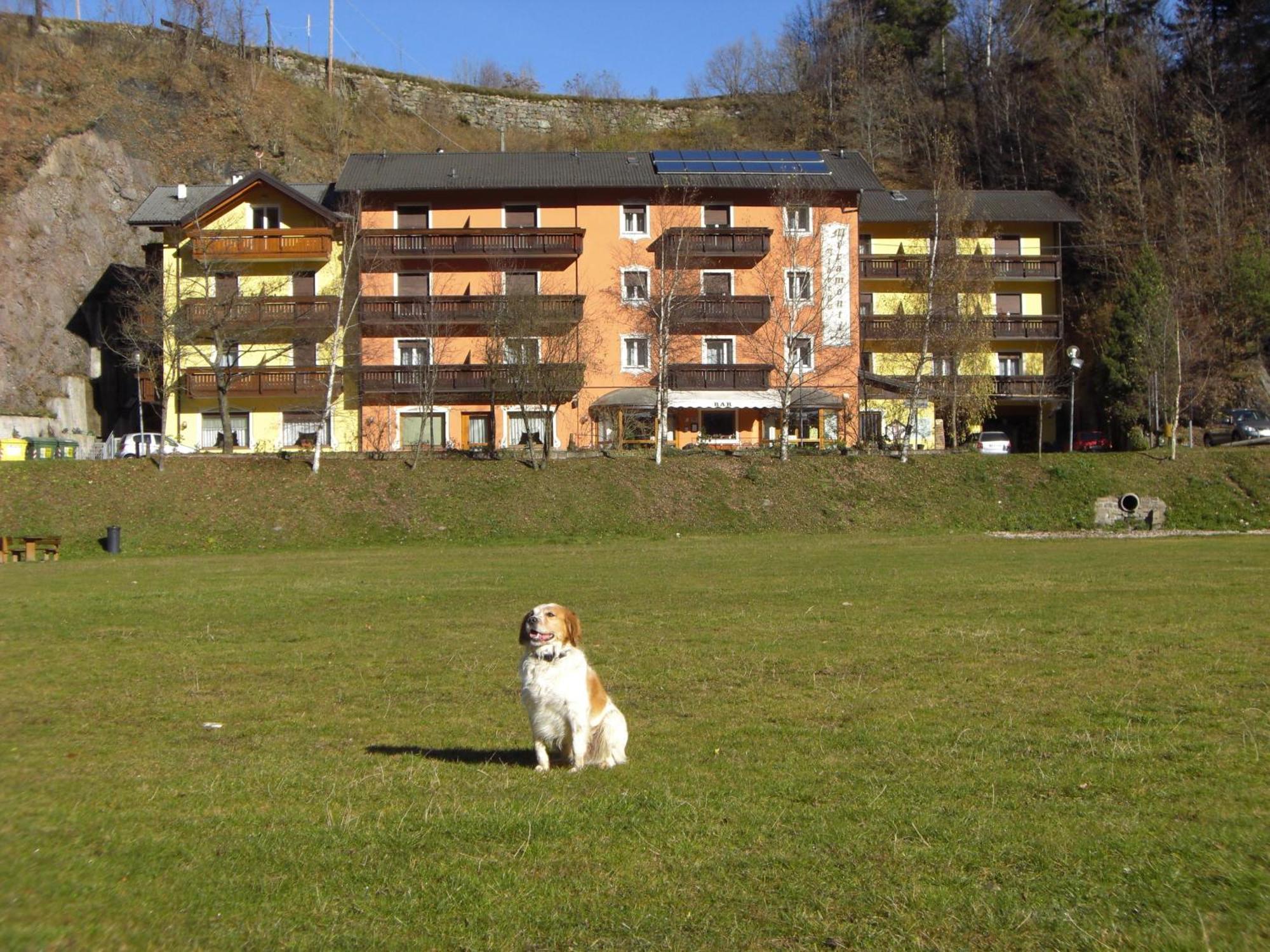 Hotel Miramonti Bedollo Exterior foto